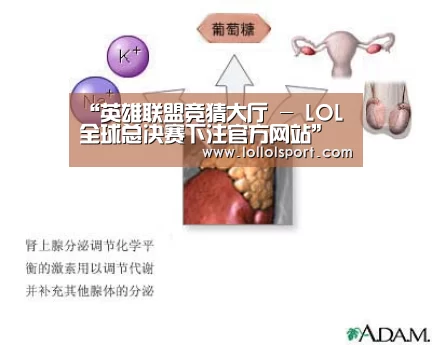 “英雄联盟竞猜大厅 - LOL全球总决赛下注官方网站”新城控股首月斥84.7亿元 择7城摘10宗地(图4) 英雄联盟竞猜大厅 - LOL全球总决赛下注官方网站